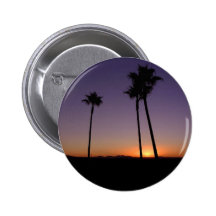 Palmeras y salidas del sol pins