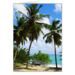 Palmtrees en tarjeta de felicitación tropical del 