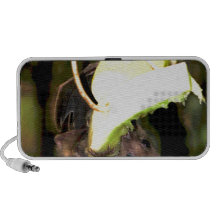 Palo de fruta 2 altavoces