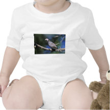 paloma Banda-atada Camisetas
