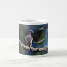paloma Banda-atada Taza De Café