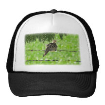 Paloma en un alambre gorros bordados