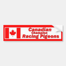 Palomas que compiten con del campeón canadiense etiqueta de parachoque