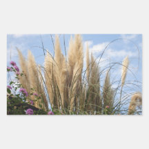 pampas grass and blue sky シール