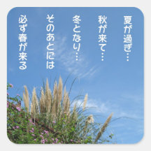 pampas grass and blue sky シール・ステッカー
