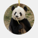 panda106 ornamentos de reyes