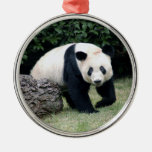 panda108 ornamento de navidad