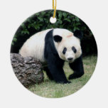 panda108 ornamento para arbol de navidad