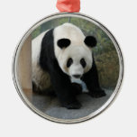 panda110 adorno