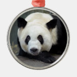 panda111 ornamentos de reyes