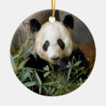 panda117 ornamentos de reyes