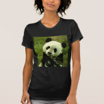 Panda Camiseta