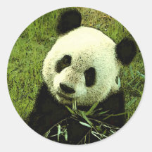 Panda Etiqueta Redonda