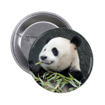 Panda gigante pin