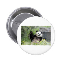 Panda Pin