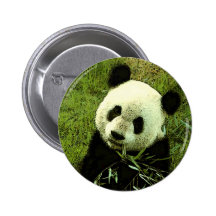 Panda Pin
