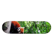 Panda roja alegre tabla de patinar