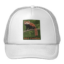 Panda roja gorras