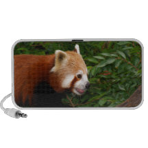 Panda roja iPhone altavoces