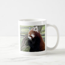 Panda roja taza de café