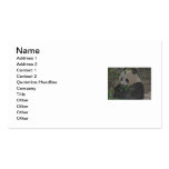 PANDA TARJETAS PERSONALES