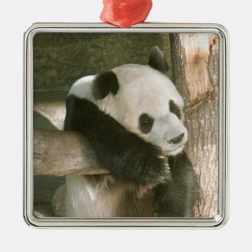 PandaM016 Ornamento Para Arbol De Navidad