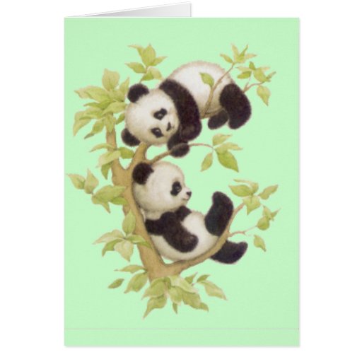 Pandas lindas tarjeta