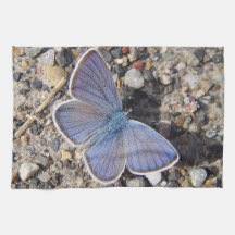 Paño de vajilla mariposa azul toallas de cocina