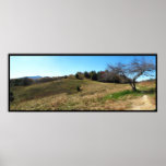 Panorama del árbol impresiones