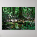 Pantano de Battle Creek Cypress calvo, poster de M