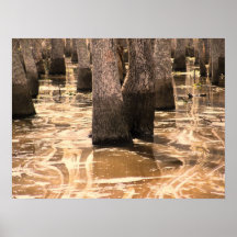 Pantano del humedal de Luisiana el río Pearl Posters