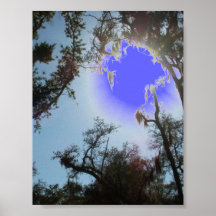 Pantano del humedal de Luisiana el río Pearl Poster