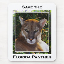Pantera de la Florida Alfombrillas De Ratones