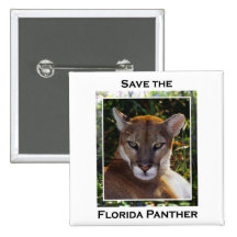 Pantera de la Florida Pin