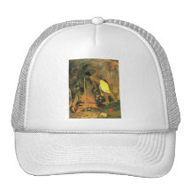 "Pape Moe Gorro