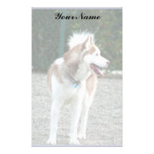 Papel con membrete del husky siberiano inmóvil  papeleria de diseño
