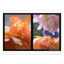 papel flowers1 comunicados personalizados