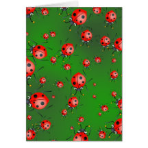 Papel pintado de la mariquita felicitación