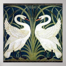 Papel pintado del cisne y de la precipitación y de posters