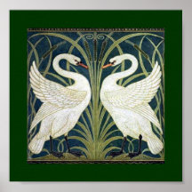 Papel pintado del cisne y de la precipitación y de poster