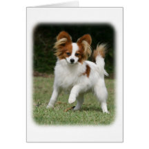 Papillon 9Y390D-011 Tarjetas