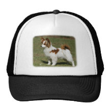 Papillon 9Y390D-027 Gorros Bordados