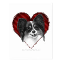 Papillon con el corazón postales