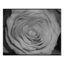 Para arriba-cierre color de rosa blanco y negro arte con fotos
