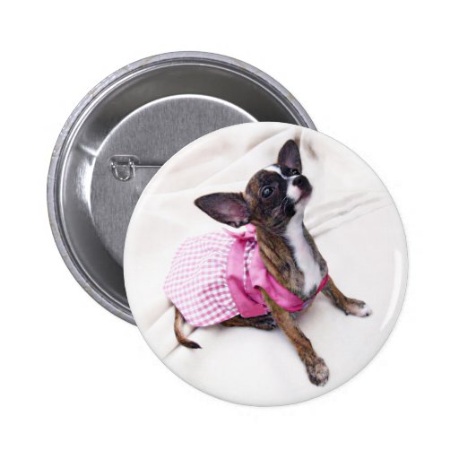 Para arriba vestido chica lindo de la chihuahua pins