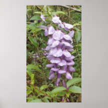 Para el amor de flores poster