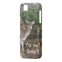 Para la gente que no toma muchas llamadas iPhone 5 protectores