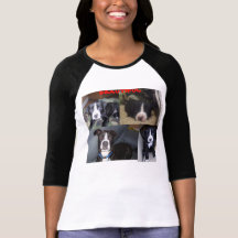 Parada de APBT el abuso Camisetas