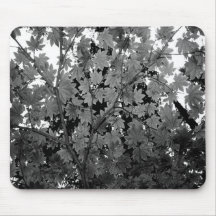 Paraguas Mousepad de las naturalezas Alfombrilla De Raton