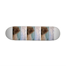 Paraíso de la playa del Seashell Tablas De Patinar